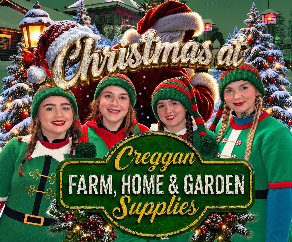 Christmas at Creggan